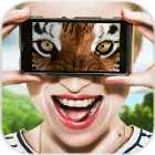 Vision animal simulator(�Ӿ�����ģ����app����)
