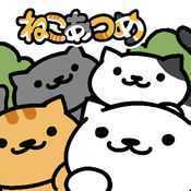 Neko Atsume��׿����
