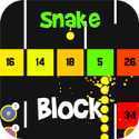 Snake Vs Block(����ש��)