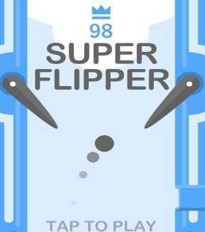 Super Flipper����
