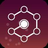 CONNECTION(��������)