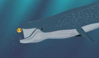 Littlefin(СС����)