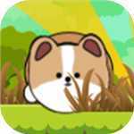 RollingDog(��������Ϸ)