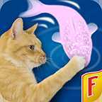 cat fishing 2��׿��