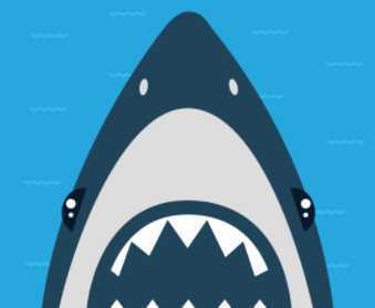 Shark Pool(�����)