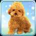 Talking Teddy Dog(˵����̩�Ϲ�)