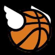Flappy Dunk����