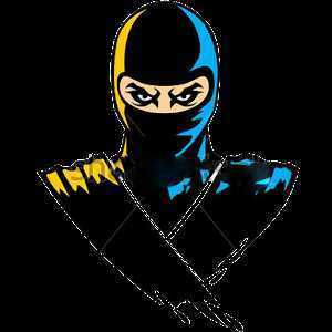 NinjaTempoRun(���ߵĽ���)