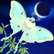 flutter starlight���ΰ�׿��