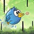 С�����Line Birds