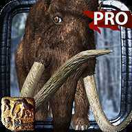 Ice Age Hunter Pro(��������������Ϸ)
