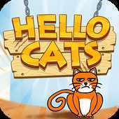 Hello Cats(èè���)