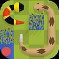 A Snake(һ���ߵĹ���)
