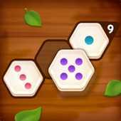 Number Puzzle Hexa(��������ƴͼ)