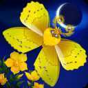 ����֮��ҹFlutter Starlight��Ϸ