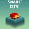 Snake City(�߳ǹ���)