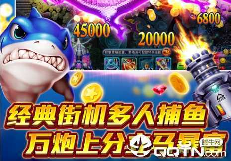 ����沶��Ӧ�ñ��汾����