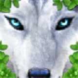 UltimateWolf(�ռ�Ұ��ģ�������İ�)