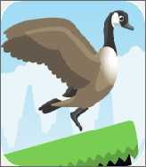 Jump Goose Jump!(�������ֻ���)