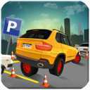 Parking Stop Simulator(���ͣ��ģ���ʻ)