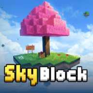 Sky Block(�յ�����ģ����)