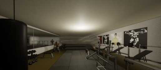Modern Gym Simulator(������ģ������Ϸ������)