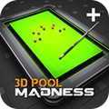 Pool Madness(�������3D)