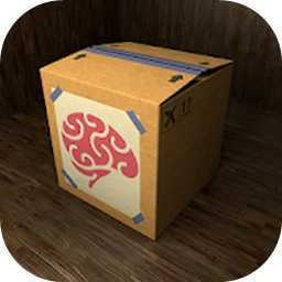 Inside the Box(����������Ϸ����)