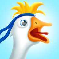 Goose Runner(���ܿ�)