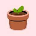 �ҵ�С¶̨��My Little Terrace��