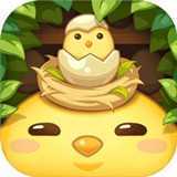 �浰�ϣ�TheEggs��