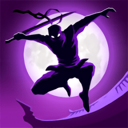 ��Ӱ��ʿ�߼���(Shadow Knight: Era of Legend)