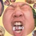 �ϳɴ�giao