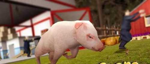 PigSimulator(����ģ����֮����һ��)