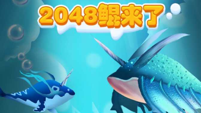 2048������