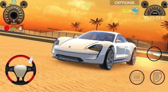 TaycanTurbo(��ʱ��ģ���ʻ)