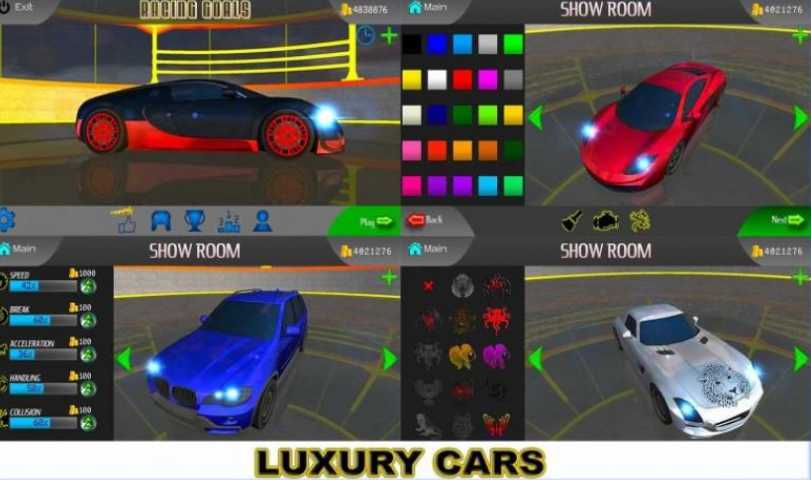 Racing Goals(����Ŀ��)