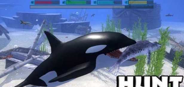 Dolphin Family(�ռ�����ģ����)