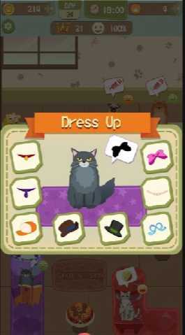 SuperPetShop(���������)
