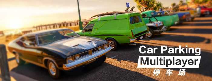 ͣ����Car Parking