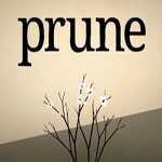 �޼�����Prune��������