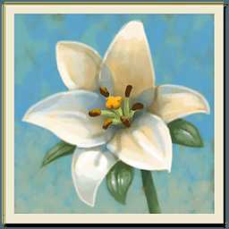���黨԰ Inner Garden��Ϸ����