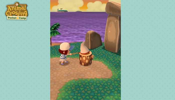 Pocket Camp(����֮ɭ�ڴ�Ӫ������)