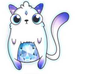 cryptokitties����