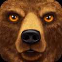 ForestSim(�ռ�ɭ��ģ����APP��׿��)