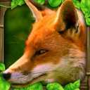 �����Fox Simulator