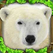 PolarBearSim(������ģ������Ϸ)