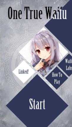 One True Waifu(����ģ�������İ�)