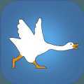 Goose(���������)