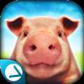PigSimulator(����ģ�������İ�)